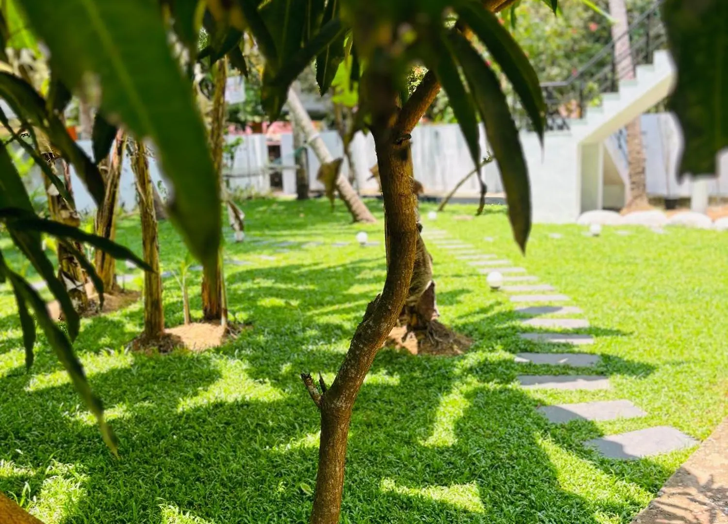 Villa Lemon Varkala India