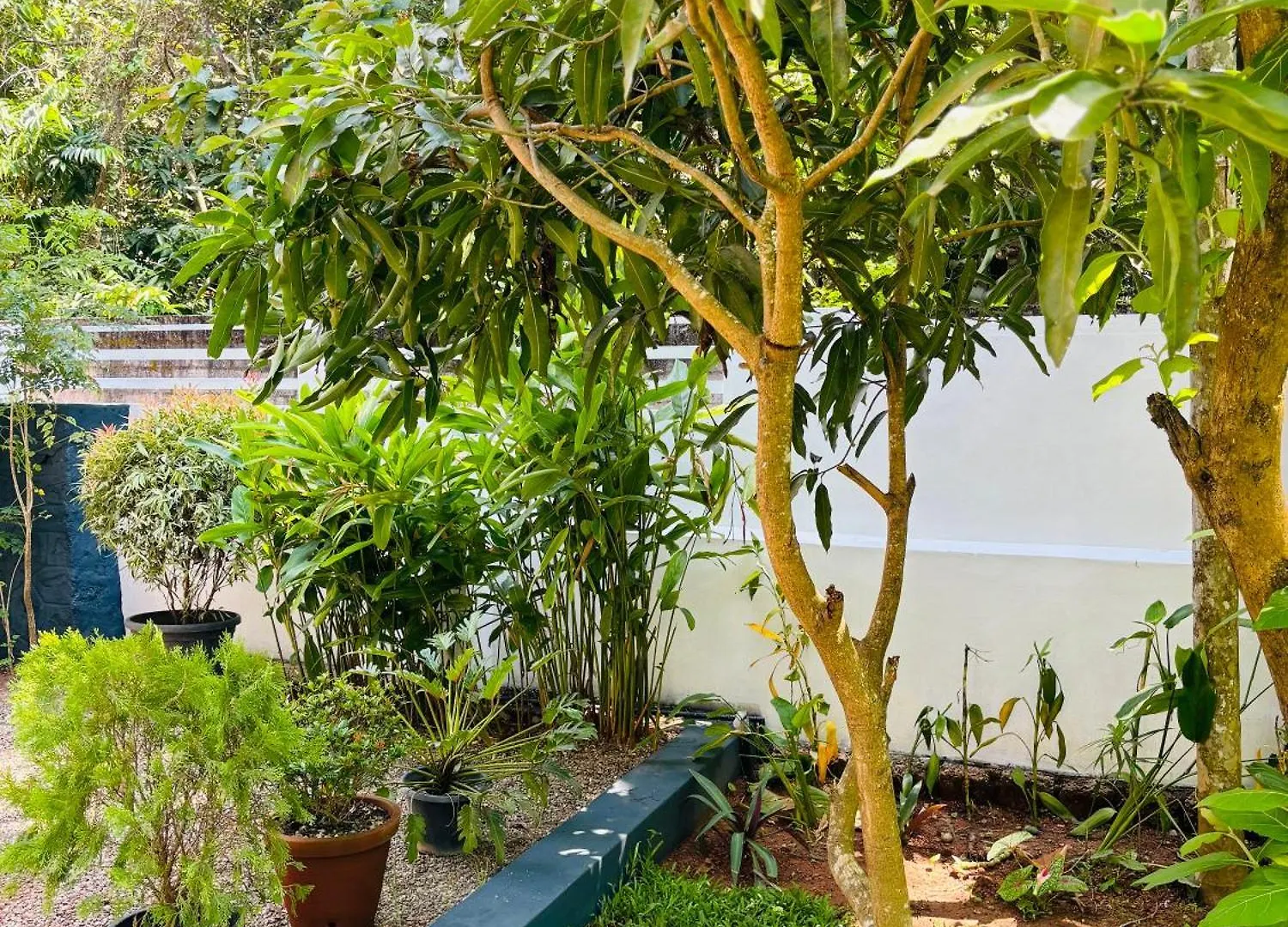 Villa Lemon Varkala Homestay