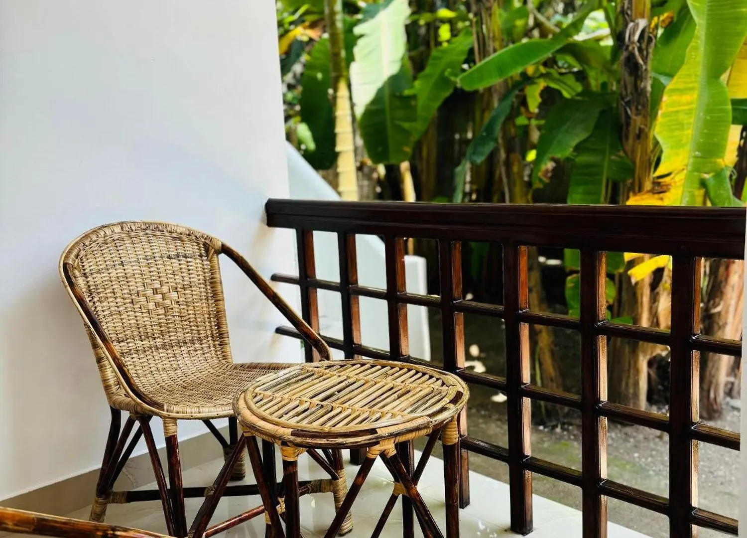 Villa Lemon Varkala Homestay