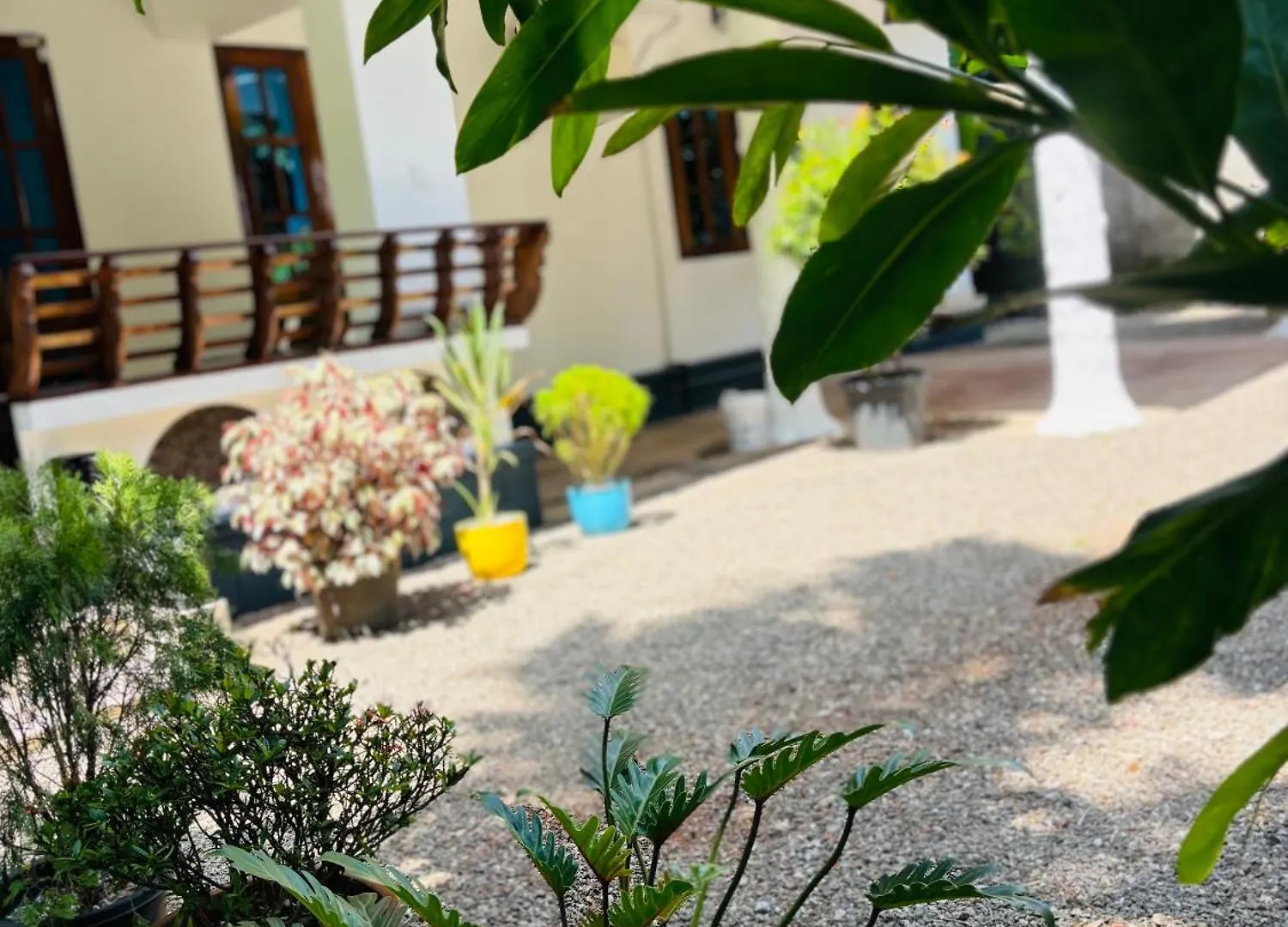 Villa Lemon Varkala India